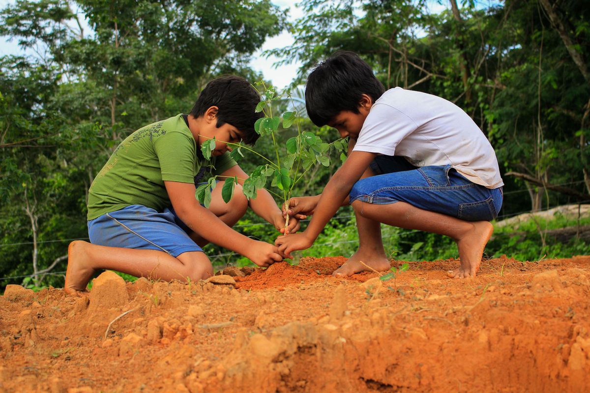 Children planting a tree together, illustrating child participation in environmental action