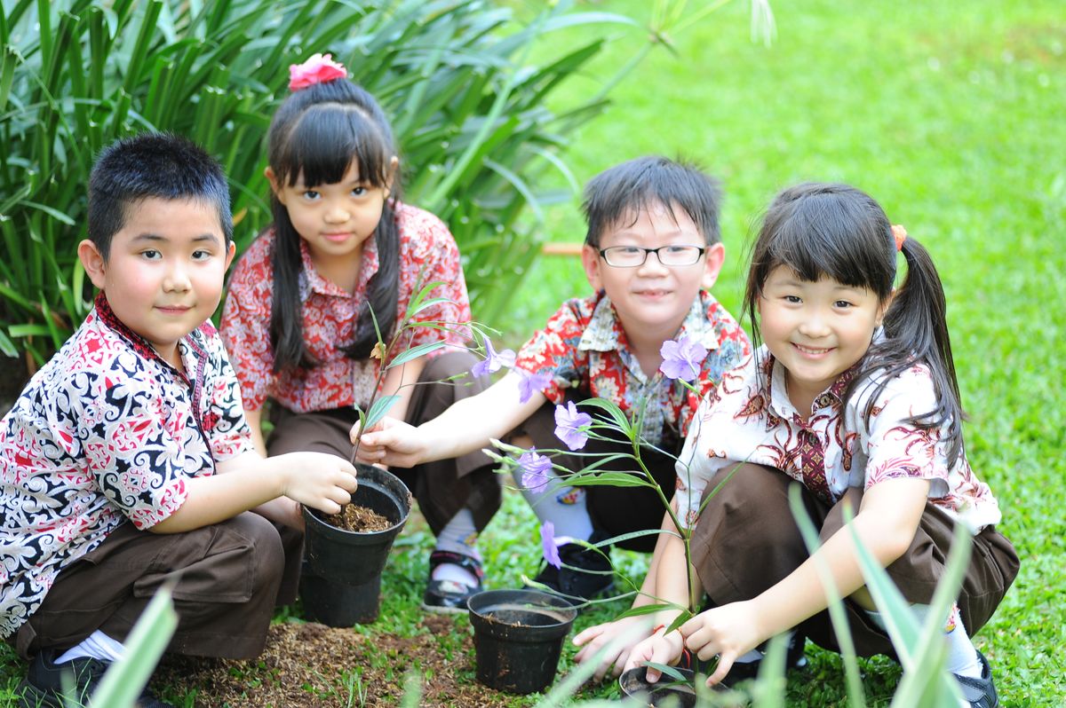 Children planting flowers in a garden, illustrating environmental education