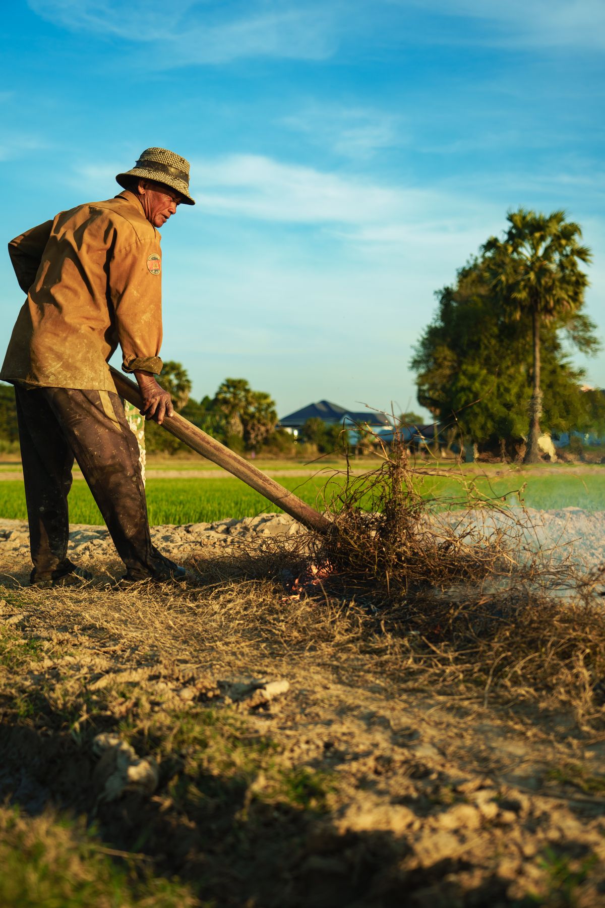 A farmer tending a field in Cambodia, illustrating agricultural livelihoods